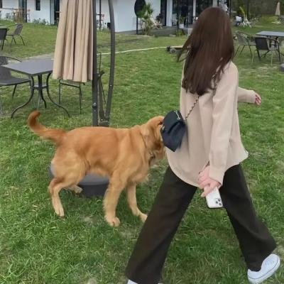 终极匹配